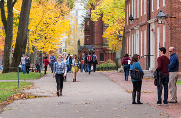 免费轰炸网页版